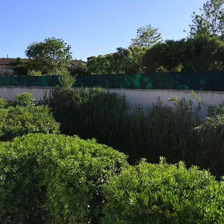 Les Palmiers: Apt 2 Prs, Piscine, Parking Antibes
