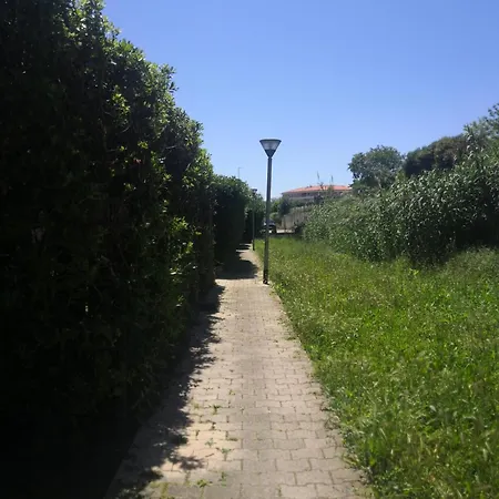 Les Palmiers: Apt 2 Prs, Piscine, Parking * Antibes