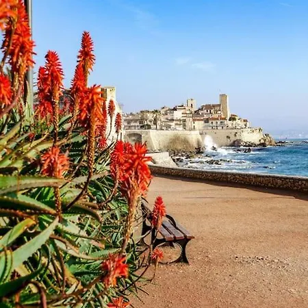 Apartment Les Palmiers: Apt 2 Prs, Piscine, Parking Antibes
